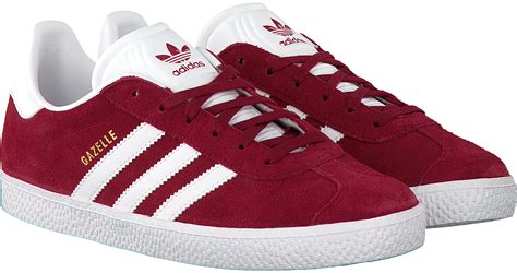 rote gazelle adidas